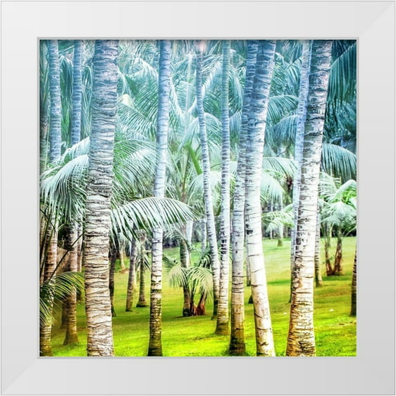 Kimberly, Allen 20x20 White Modern Wood Framed Museum Art Print Titled - Palm Tree Forest 2