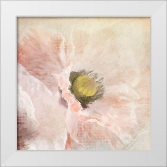 Kimberly, Allen 20x20 White Modern Wood Framed Museum Art Print Titled - Poppy