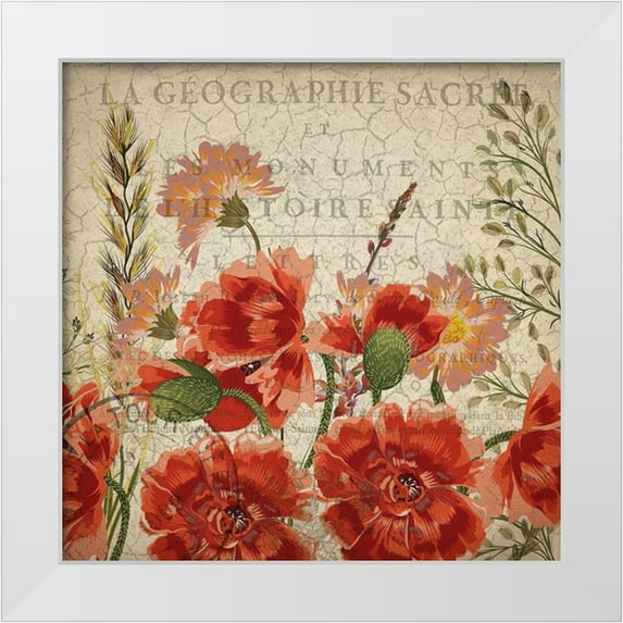 Kimberly, Allen 20x20 White Modern Wood Framed Museum Art Print Titled - Springtime Blooms