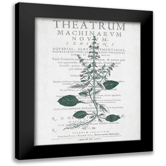 Kimberly, Allen 20x24 Black Modern Framed Museum Art Print Titled - Botanical 2