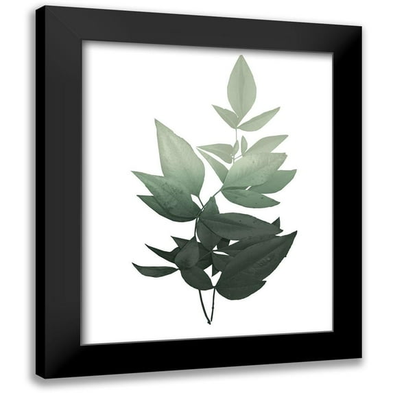 Kimberly, Allen 20x24 Black Modern Framed Museum Art Print Titled - Botanical Greens 1