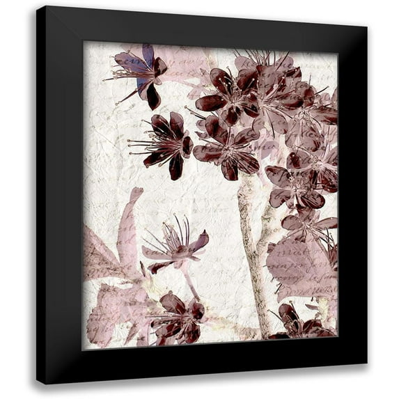 Kimberly, Allen 20x24 Black Modern Framed Museum Art Print Titled - Cherry Blossom Plum 2