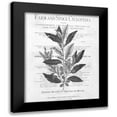 thumbnail image 1 of Kimberly, Allen 20x24 Black Modern Framed Museum Art Print Titled - Defused Botanical 1, 1 of 5