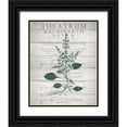 thumbnail image 1 of Kimberly, Allen 20x24 Black Ornate Wood Framed with Double Matting Museum Art Print Titled - Botanical B v2, 1 of 4