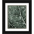 thumbnail image 1 of Kimberly, Allen 20x24 Black Ornate Wood Framed with Double Matting Museum Art Print Titled - Eco 2, 1 of 4