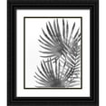 thumbnail image 1 of Kimberly, Allen 20x24 Black Ornate Wood Framed with Double Matting Museum Art Print Titled - Ferns By Night 2, 1 of 4