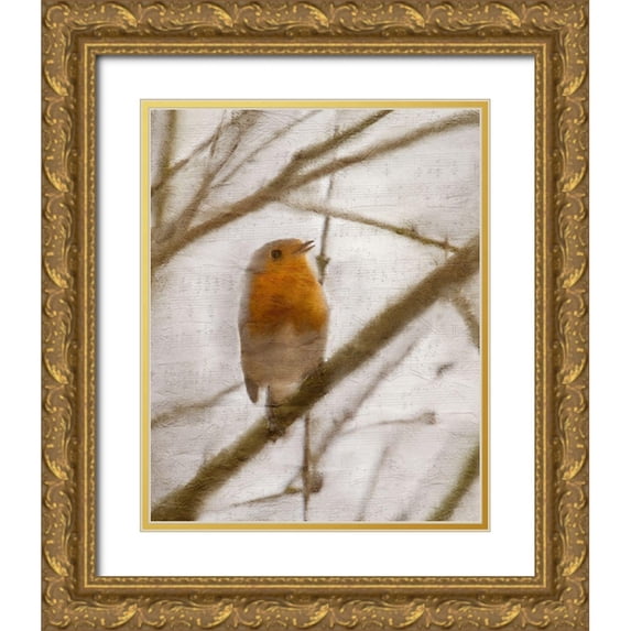 Kimberly, Allen 20x24 Gold Ornate Wood Framed with Double Matting Museum Art Print Titled - Bird on a Branch 1