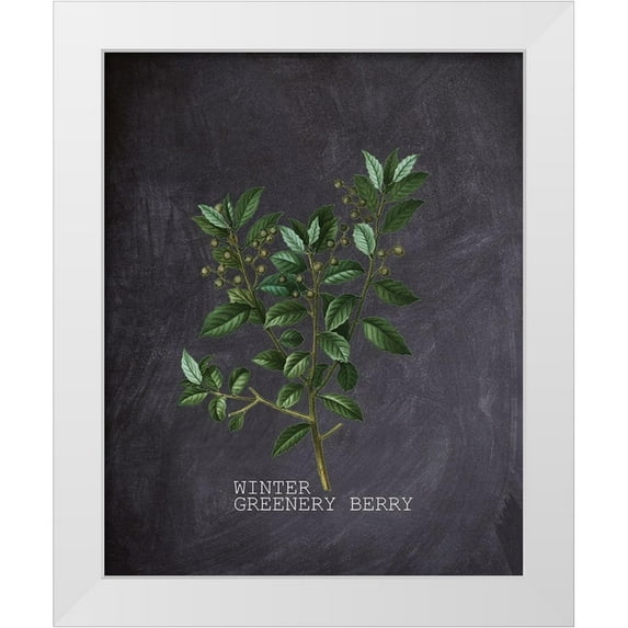 Kimberly, Allen 20x24 White Modern Wood Framed Museum Art Print Titled - Blackboard Botanical 2