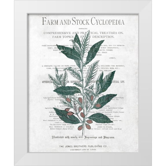 Kimberly, Allen 20x24 White Modern Wood Framed Museum Art Print Titled - Botanical 1
