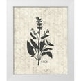thumbnail image 1 of Kimberly, Allen 20x24 White Modern Wood Framed Museum Art Print Titled - Fresh Sage, 1 of 4