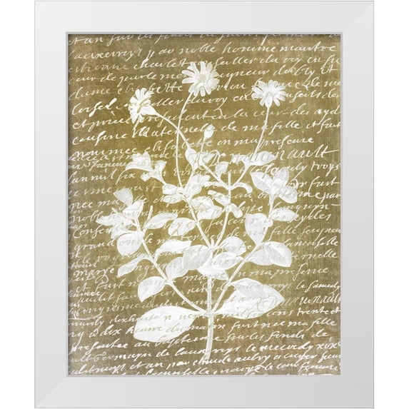 Kimberly, Allen 20x24 White Modern Wood Framed Museum Art Print Titled - Notes on Floral 1