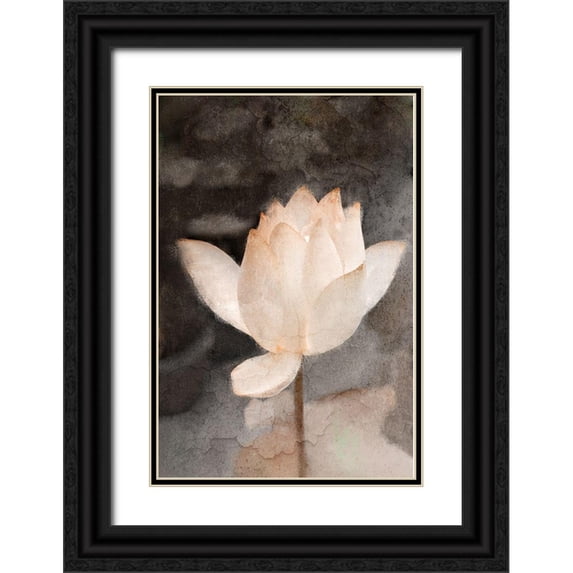 Kimberly, Allen 23x32 Black Ornate Wood Framed with Double Matting Museum Art Print Titled - Lotus Bloom