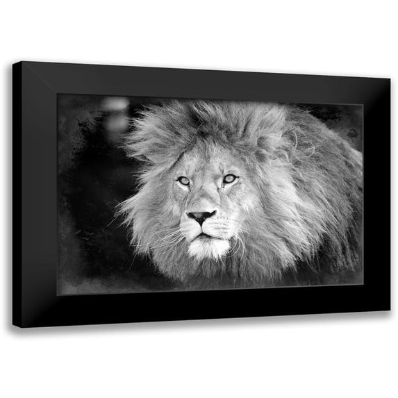Kimberly, Allen 24x17 Black Modern Framed Museum Art Print Titled - Intent