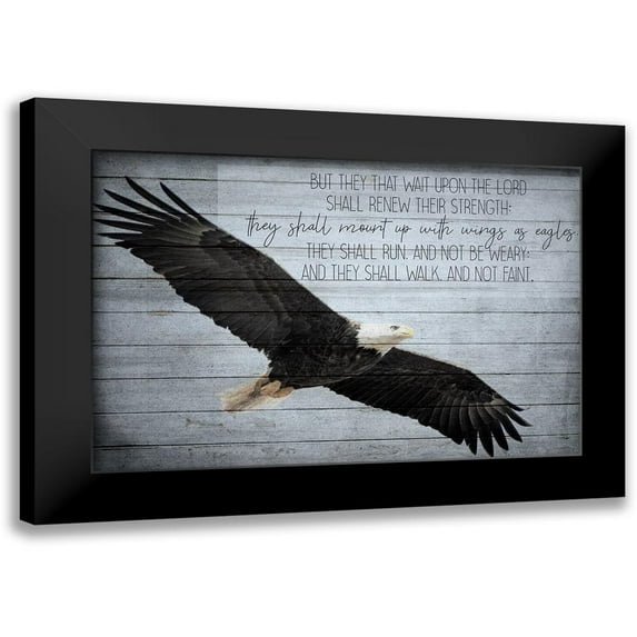 Kimberly, Allen 24x17 Black Modern Framed Museum Art Print Titled - Wings as Eagles