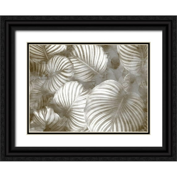 Kimberly, Allen 24x19 Black Ornate Wood Framed with Double Matting Museum Art Print Titled - Beige Palms