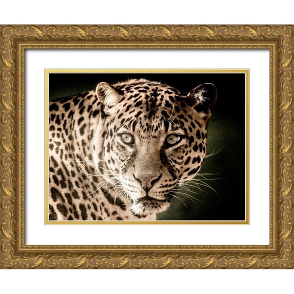 Kimberly, Allen 24x19 Gold Ornate Wood Framed with Double Matting Museum Art Print Titled - Leo