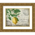 thumbnail image 1 of Kimberly, Allen 24x19 Gold Ornate Wood Framed with Double Matting Museum Art Print Titled - Vintage Lemon, 1 of 4