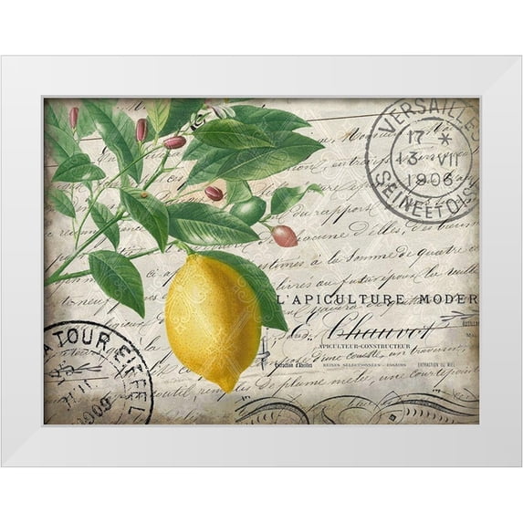 Kimberly, Allen 24x19 White Modern Wood Framed Museum Art Print Titled - Vintage Lemon