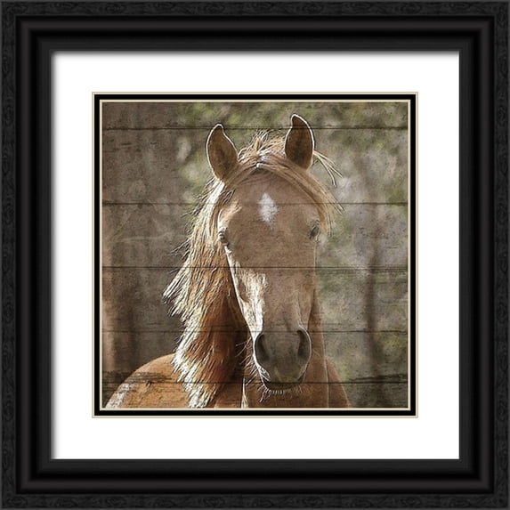 Kimberly, Allen 26x26 Black Ornate Wood Framed with Double Matting Museum Art Print Titled - Farm Life 6