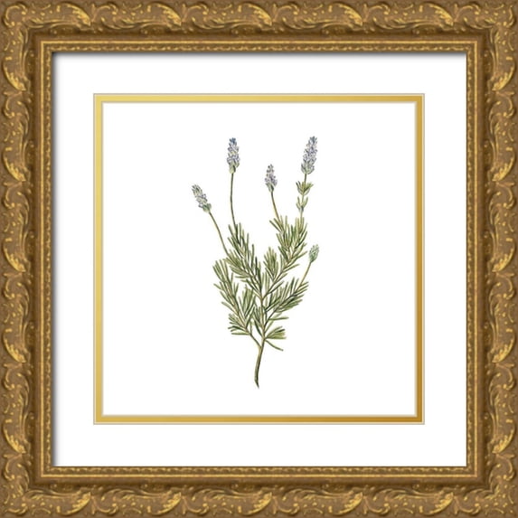 Kimberly, Allen 26x26 Gold Ornate Wood Framed with Double Matting Museum Art Print Titled - Herbs square 1