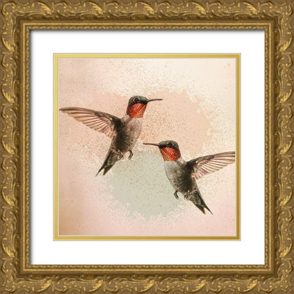 Kimberly, Allen 26x26 Gold Ornate Wood Framed with Double Matting Museum Art Print Titled - Hummingbird Flight