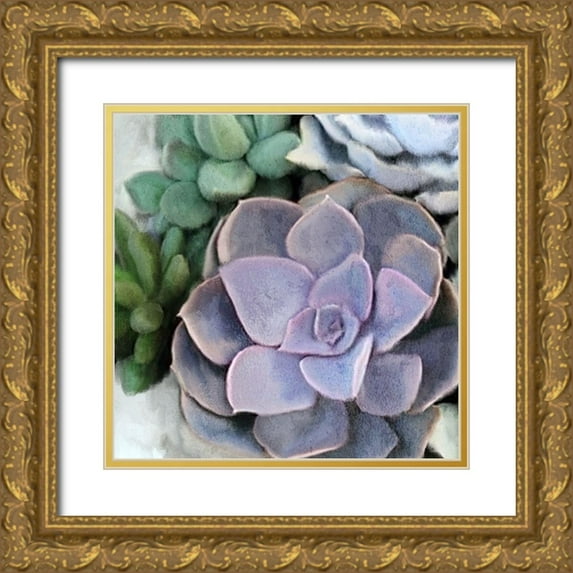 Kimberly, Allen 26x26 Gold Ornate Wood Framed with Double Matting Museum Art Print Titled - Succulent Garden 3