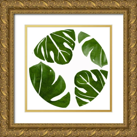 Kimberly, Allen 26x26 Gold Ornate Wood Framed with Double Matting Museum Art Print Titled - Tropic Green 2 circle