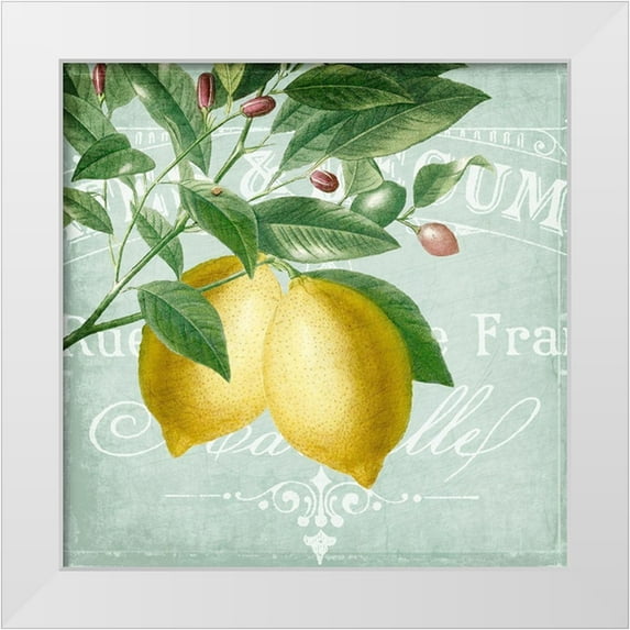 Kimberly, Allen 26x26 White Modern Wood Framed Museum Art Print Titled - Lemon Drop 2
