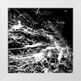 thumbnail image 1 of Kimberly, Allen 26x26 White Modern Wood Framed Museum Art Print Titled - White Nest 2, 1 of 4