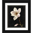 thumbnail image 1 of Kimberly, Allen 26x32 Black Ornate Wood Framed with Double Matting Museum Art Print Titled - Magnolia on Black 2, 1 of 4