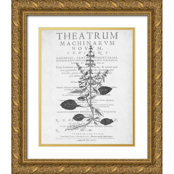 Kimberly, Allen 26x32 Gold Ornate Wood Framed with Double Matting Museum Art Print Titled - Defused Botanical 2