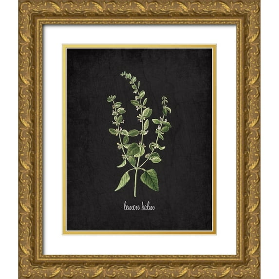 Kimberly, Allen 26x32 Gold Ornate Wood Framed with Double Matting Museum Art Print Titled - Lemon Balm