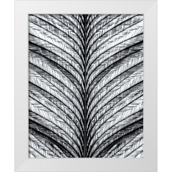 Kimberly, Allen 26x32 White Modern Wood Framed Museum Art Print Titled - Black and White Feather 1