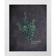 thumbnail image 1 of Kimberly, Allen 26x32 White Modern Wood Framed Museum Art Print Titled - Blackboard Botanical 3, 1 of 4