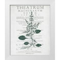 thumbnail image 1 of Kimberly, Allen 26x32 White Modern Wood Framed Museum Art Print Titled - Botanical 2, 1 of 4