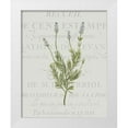 thumbnail image 1 of Kimberly, Allen 26x32 White Modern Wood Framed Museum Art Print Titled - Fresh Herbs 1, 1 of 4
