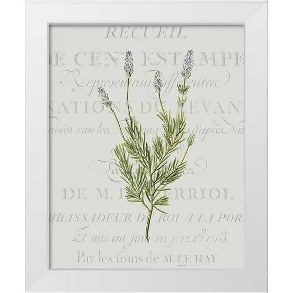 Kimberly, Allen 26x32 White Modern Wood Framed Museum Art Print Titled - Fresh Herbs 1