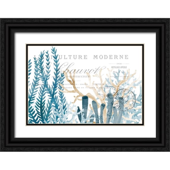 Kimberly, Allen 32x23 Black Ornate Wood Framed with Double Matting Museum Art Print Titled - Coral Cove Blue 1