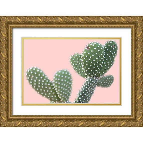 Kimberly, Allen 32x23 Gold Ornate Wood Framed with Double Matting Museum Art Print Titled - Blush Cactus 1 v2