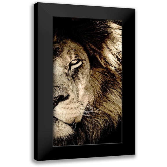 Kimberly, Allen 9x14 Black Modern Framed Museum Art Print Titled - Gaze B