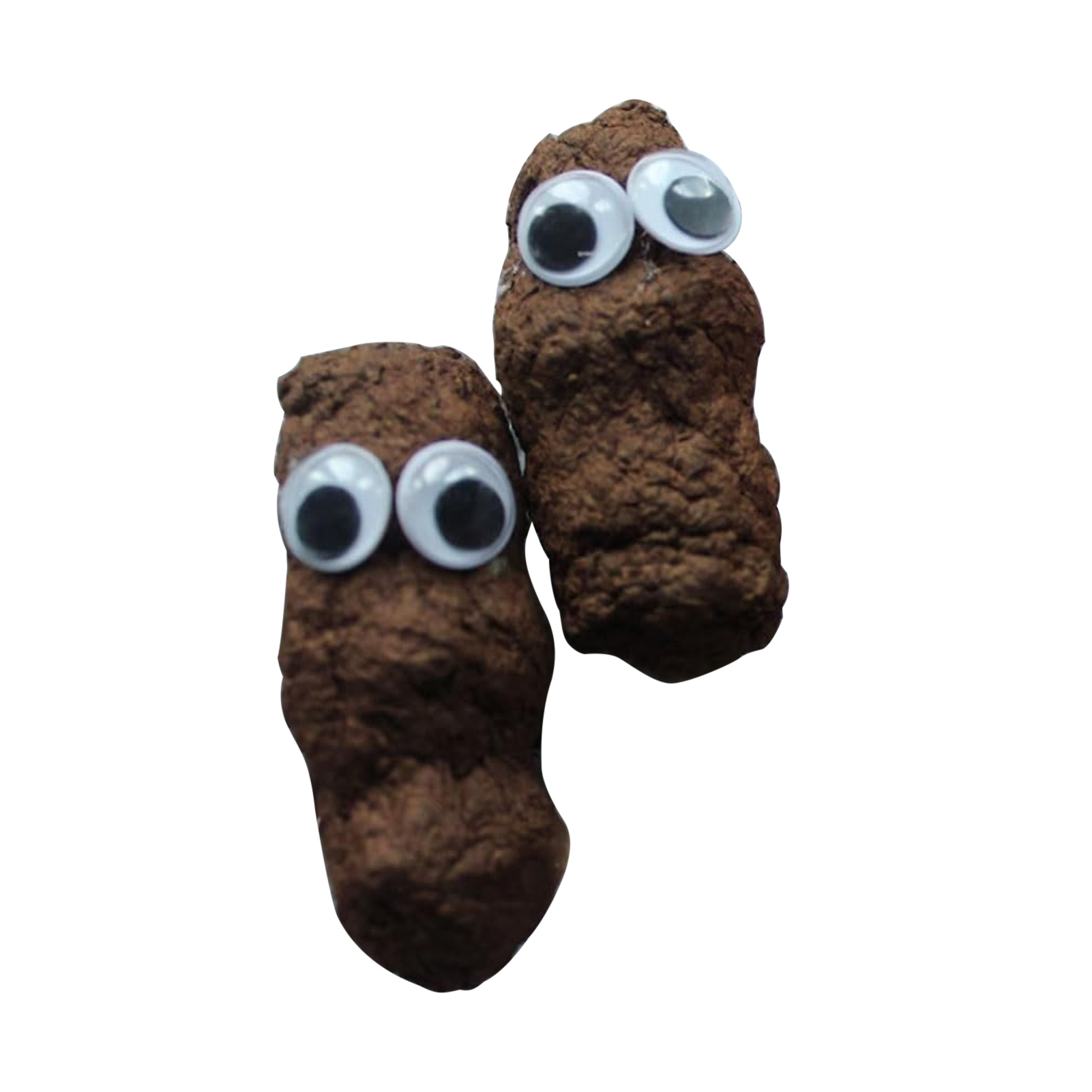 Kinaerty 2Pcs Funny Fake Toilet Poop Toys with Big Eyes Halloween Funny ...
