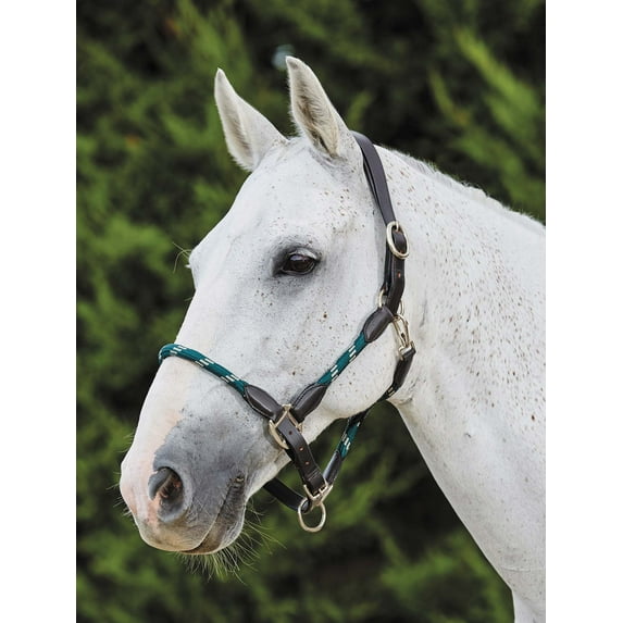 Kincade Leather and Rope Halter Color: Hunter/Brown Size: Cob