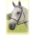 thumbnail image 1 of Kincade® Plain Raised Bridle (Cob, Brown), 1 of 1