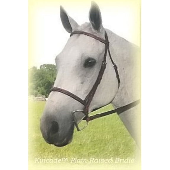 KincadeĀ® Plain Raised Bridle (Cob, Brown)