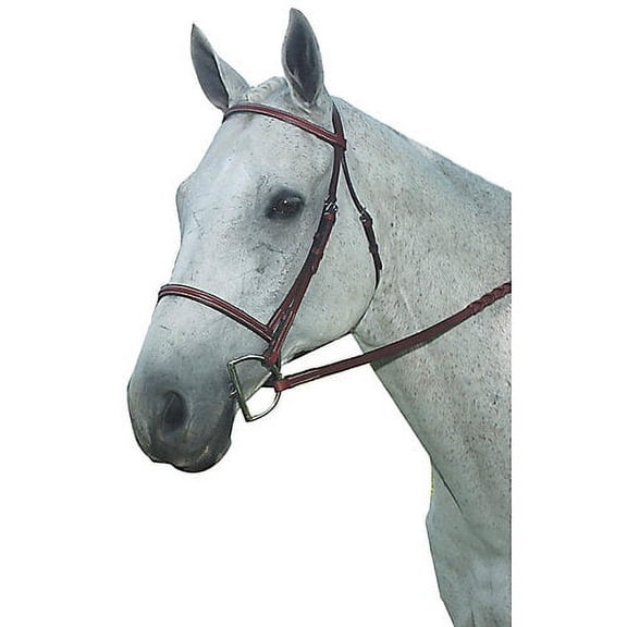 Kincade Plain Raised Bridle Warmblood Sable Brown