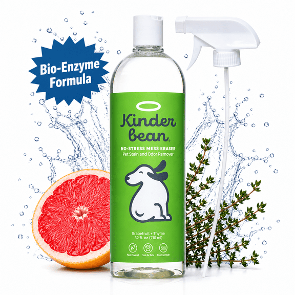 Kinderbean Dog & Cat Urine Stain and Odor Eliminator for Carpet, Upholstery, Hard Floors - Single 32 oz., Grapefruit & Thyme Scent, Enzyme Bio-Active Formula with Squeeze and Spray Top