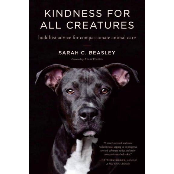 Kindness for All Creatures : Buddhist Advice for Compassionate Animal Care (Paperback)