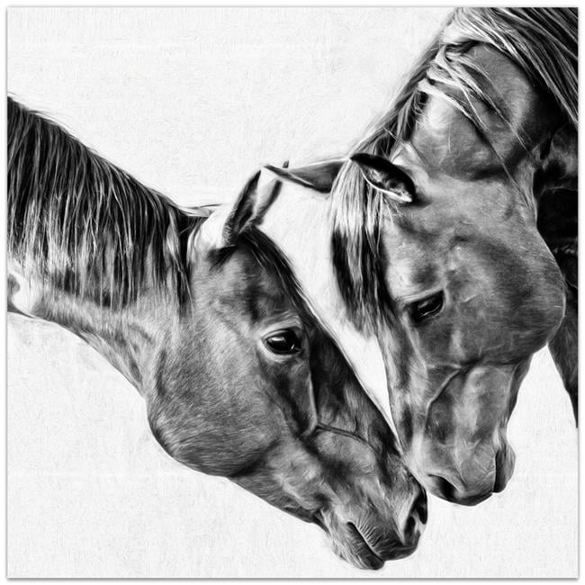 Kindred Colts Frameless Free Floating Tempered Glass Panel Graphic Wall Art , 38" x 38"
