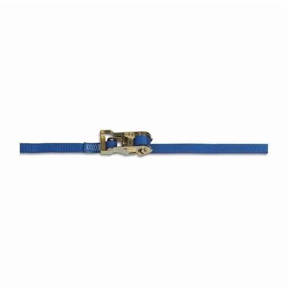 Kinedyne Tie-Down Strap,Blue,2505 lb.,15 ft. 711500GRA