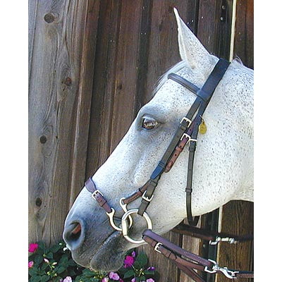 Kineton Havana Noseband